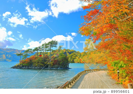 【青森県】十和田湖の紅葉と大黒神社／恵比寿神社 89956601
