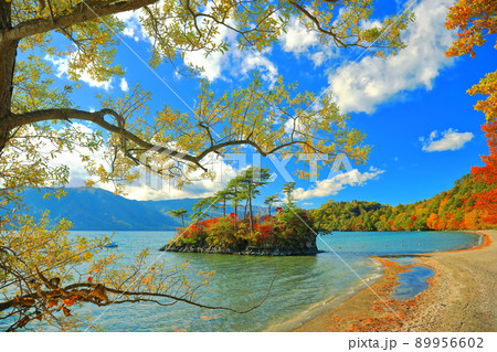 【青森県】十和田湖の紅葉と大黒神社/恵比寿神社 【青森県】十和田湖の紅葉と大黒神社/恵比寿神社 89956602