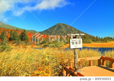 【青森県】紅葉の水蓮沼と八甲田連峰 89956605
