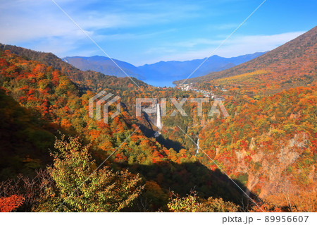 【栃木県】紅葉の華厳の滝(日光) 【栃木県】紅葉の華厳の滝(日光) 89956607