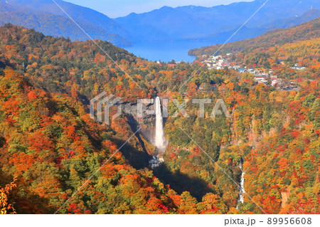 【栃木県】紅葉の華厳の滝(日光) 【栃木県】紅葉の華厳の滝(日光) 89956608