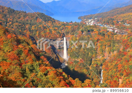 【栃木県】紅葉の華厳の滝(日光) 【栃木県】紅葉の華厳の滝(日光) 89956610