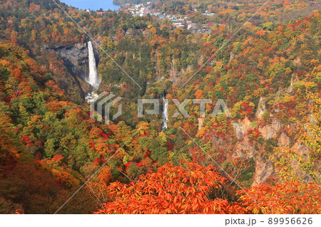 【栃木県】紅葉の華厳の滝(日光) 【栃木県】紅葉の華厳の滝(日光) 89956626