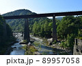ウクライナ　ヤレムチェの鉄橋と景色 89957058