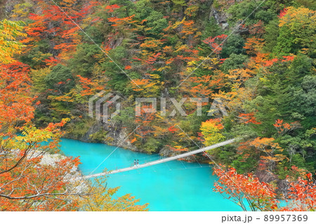 【静岡県】紅葉の寸又峡夢の吊り橋 89957369