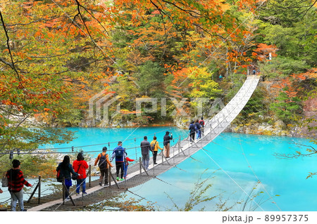 【静岡県】紅葉の寸又峡夢の吊り橋 【静岡県】紅葉の寸又峡夢の吊り橋 89957375