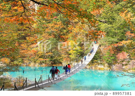 【静岡県】紅葉の寸又峡夢の吊り橋 89957381
