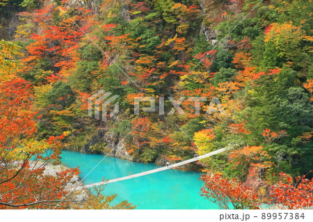 【静岡県】紅葉の寸又峡夢の吊り橋 89957384