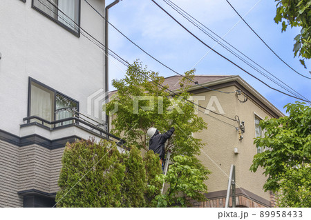 庭木・剪定・伐採をする職人 89958433