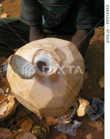 ココナッツ 89958869