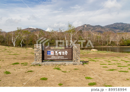 志賀高原の中心地 蓮池 志賀高原の中心地 蓮池 89958994