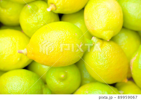 もぎたての瀬戸内レモン21 89959067