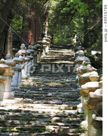対馬萬松院(万松院)の石段と並んだ灯篭 対馬萬松院(万松院)の石段と並んだ灯篭 89959788