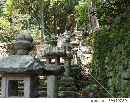 対馬萬松院(万松院)の石段と並んだ灯篭 89959789