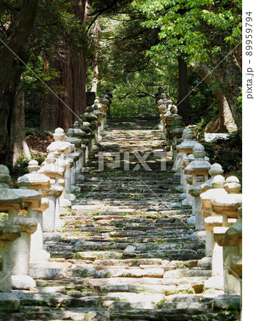 対馬萬松院(万松院)の石段と並んだ灯篭 対馬萬松院(万松院)の石段と並んだ灯篭 89959794
