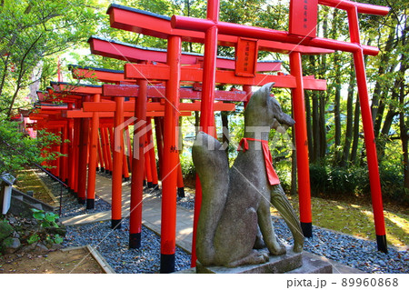 ◇ 手彩色 大判古写真 長崎 諏訪神社 鳥居-