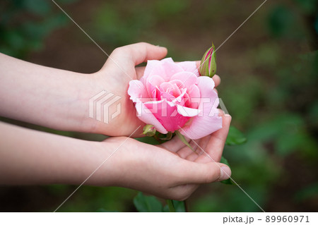 ピンクのバラを持つ子供の手 89960971