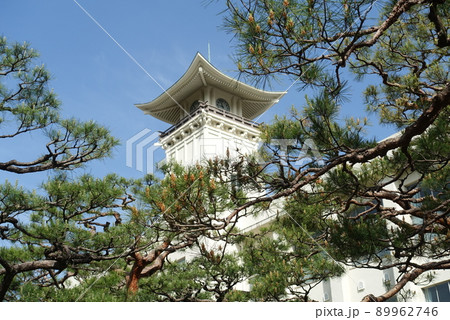 高知県立高知追手前高等学校 89962746