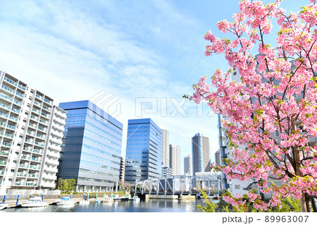 南高橋/亀島川周辺を望む(東京都中央区)【2022.3】 南高橋/亀島川周辺を望む(東京都中央区)【2022.3】 89963007