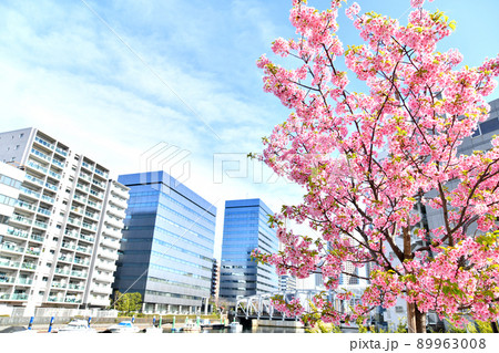 南高橋/亀島川周辺を望む(東京都中央区)【2022.3】 南高橋/亀島川周辺を望む(東京都中央区)【2022.3】 89963008