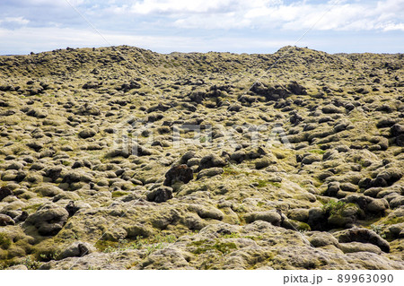 Soft volcanic moss in Iceland 89963090