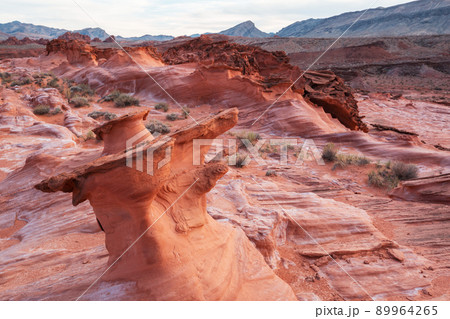 Little Finland 89964265