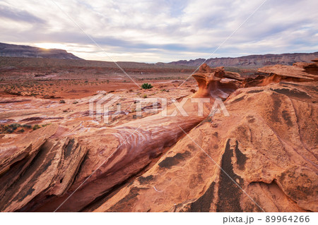 Little Finland 89964266