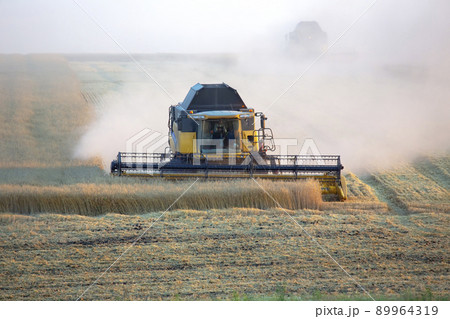 The harvester is harvesting wheat in the field. grain preparation. agronomy and agriculture. 89964319