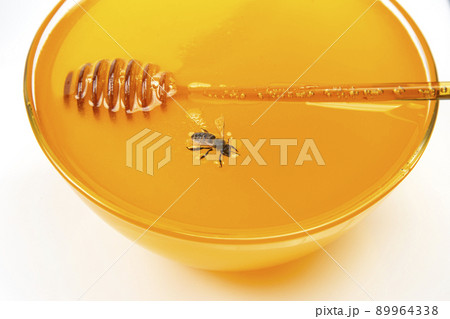 honey bee on the background of fresh honeycomb. insects and organic vitamin food 89964338