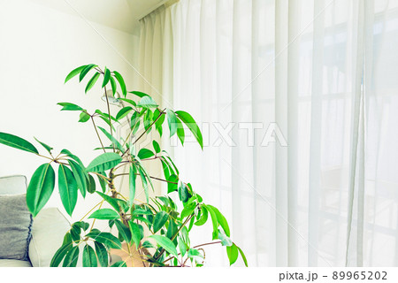 おしゃれな住宅内観 89965202