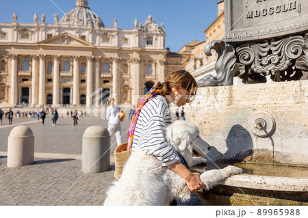 Dog drinking water from the fountain on the main square in Vatican 89965988