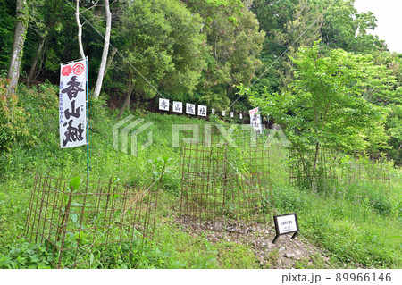 播磨「香山城」石垣・曲輪 89966146