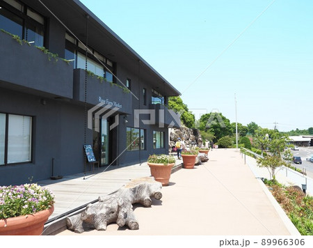 茨城フラワーパーク バラ 茨城県石岡市 茨城フラワーパーク バラ 茨城県石岡市 89966306