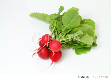 赤かぶ 赤かぶ 89966896