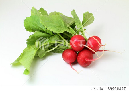 赤蕪 赤蕪 89966897