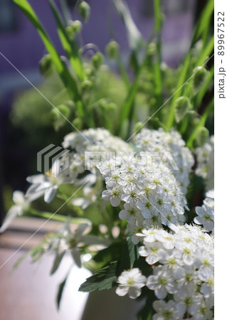 出窓に庭の花を飾る 出窓に庭の花を飾る 89967522