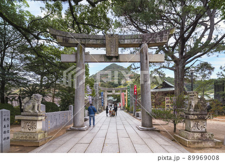 [九州・福津] 宮地嶽神社の参道の鳥居を潜って歩く参拝者と背景に宮地山。 89969008