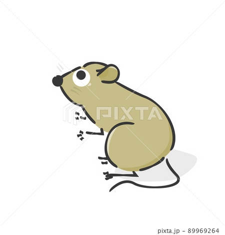かわいいネズミ イラストアイコン のイラスト素材