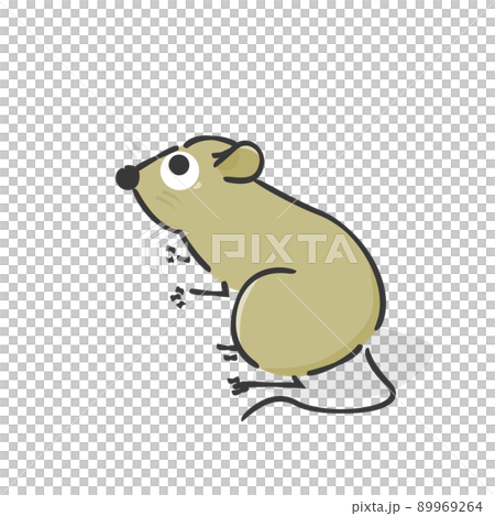 かわいいネズミ（イラストアイコン） 89969264