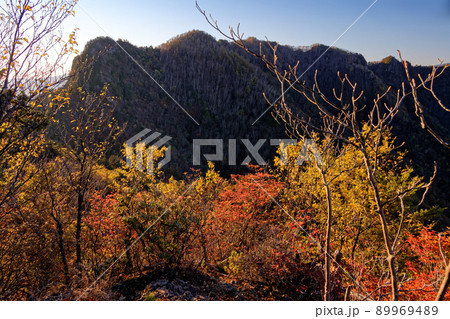 紅葉の八丁尾根から見る朝の両神山稜線 紅葉の八丁尾根から見る朝の両神山稜線 89969489