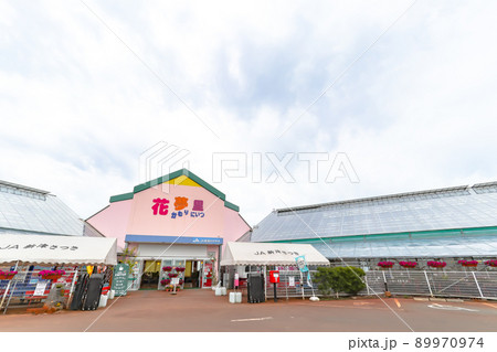 花木展示即売場　花夢里にいつ 89970974
