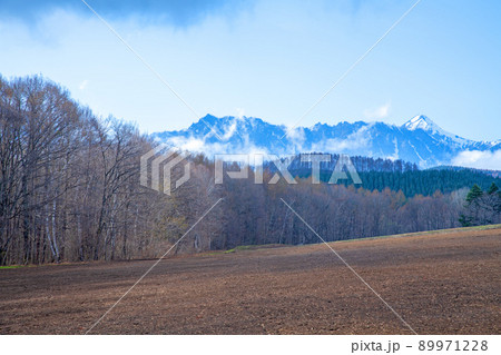 戸隠連峰　戸隠展望苑からの眺め　早春の風景 89971228