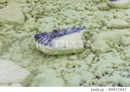 草津温泉の湯の花 89972697