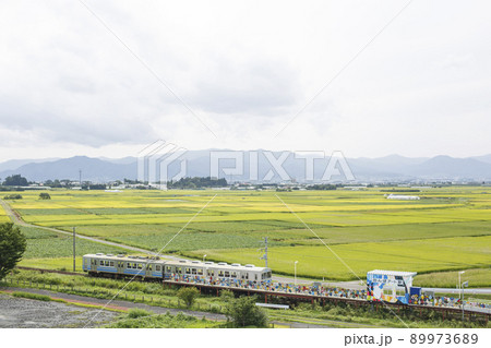 夏の田んぼアート駅 夏の田んぼアート駅 89973689