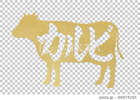 Calvi character material Calvi character material 89974293