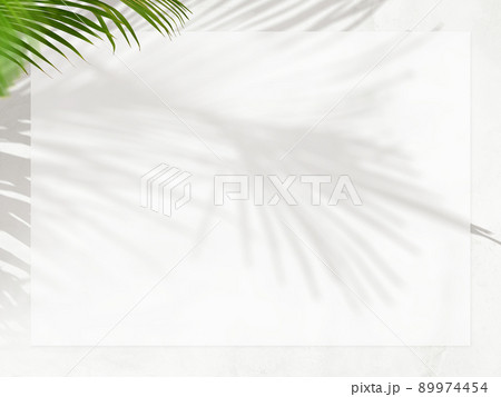 涼し気な背景素材 涼し気な背景素材 89974454