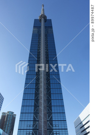 青空にそびえる福岡タワー（福岡県福岡市百道浜） 89974487