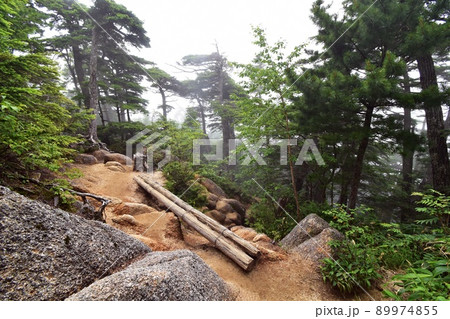 中房から燕岳へ向かう登山道の丸太橋　中房合戦小屋付近 89974855
