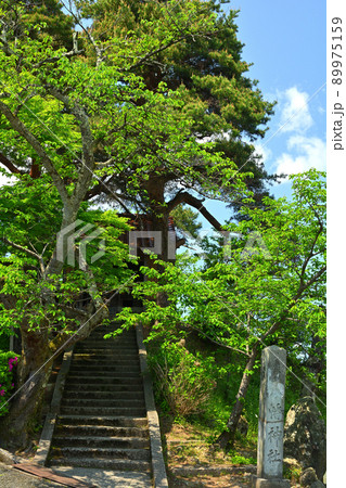 日本100名城・丸岡城 89975159
