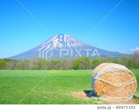 北海道の絶景 ニセコ高橋牧場からの羊蹄山風景 89975303